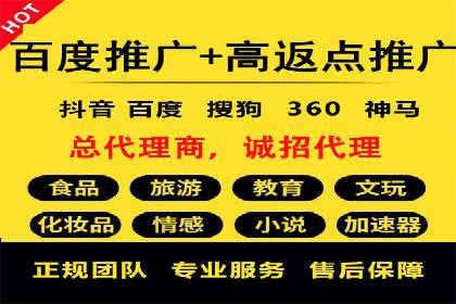 某某SEM团队成功案例：广告投放策略揭秘